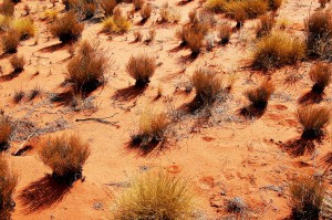 arid australia