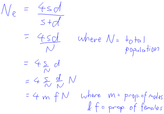 N_e = (4sd)/(s+d) = (4sd)/N where N is total pop = 4(s/N)d = 4(s/N)(d/N)N = [4(s/N)(d/N)]N = 4mfN, where m is prop of males and f is prop of females